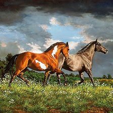 Схема вышивки «№662527»