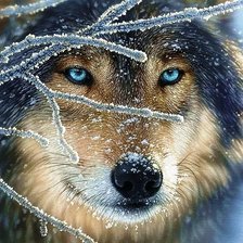 Схема вышивки «№662531»