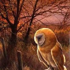 Схема вышивки «№662532»