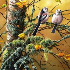 Схема вышивки «№662535»