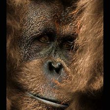 Схема вышивки «№662551»