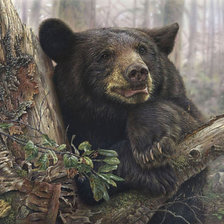 Схема вышивки «№662554»