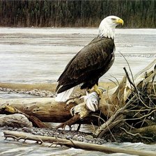 Схема вышивки «№662558»