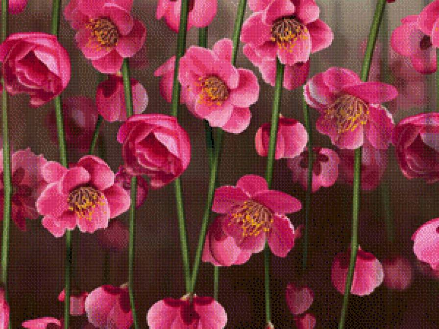 №662583 - предпросмотр