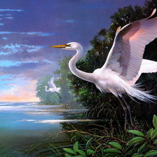 Схема вышивки «2211»