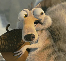 Схема вышивки «белка»