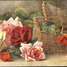 Схема вышивки «розы-2»