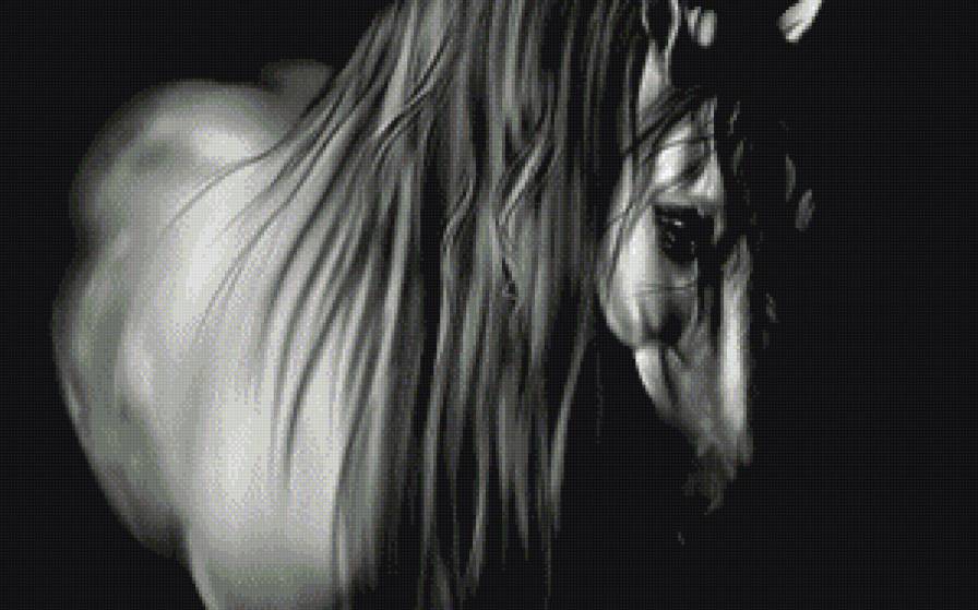 лошадь - животные, лошадь, монохром - предпросмотр