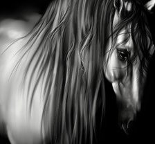 Схема вышивки «лошадь»