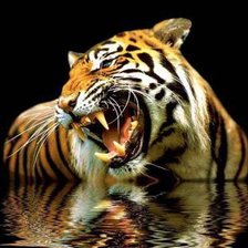 Схема вышивки «№662871»