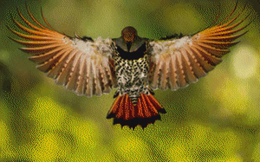 птица - птицы - предпросмотр