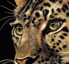 Схема вышивки «леопард»