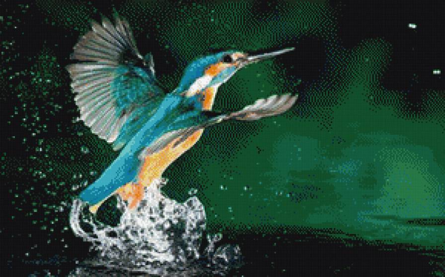 птичка - птицы - предпросмотр