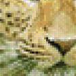 Предпросмотр схемы вышивки «большая кошка» (№662982)