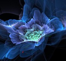 Схема вышивки «цвет»