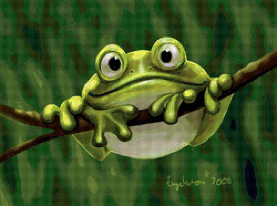 Лягушка - лягушка, животные - предпросмотр