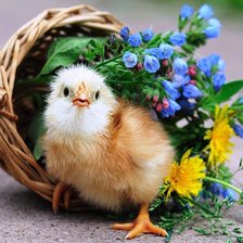 Схема вышивки «маленькое чудо»