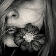 Схема вышивки «№663703»