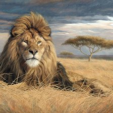 Схема вышивки «Царь зверей»