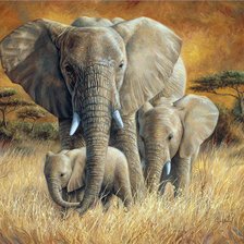 Схема вышивки «Животные планеты»