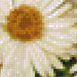 Предпросмотр схемы вышивки «Ромашки в вазе» (№663785)