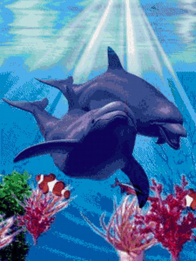 Дельфины - природа, любовь, дельфины - предпросмотр