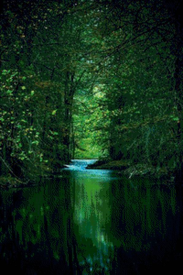 Лес - лето, парк, лес, природа - предпросмотр