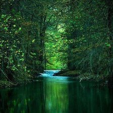 Схема вышивки «Лес»