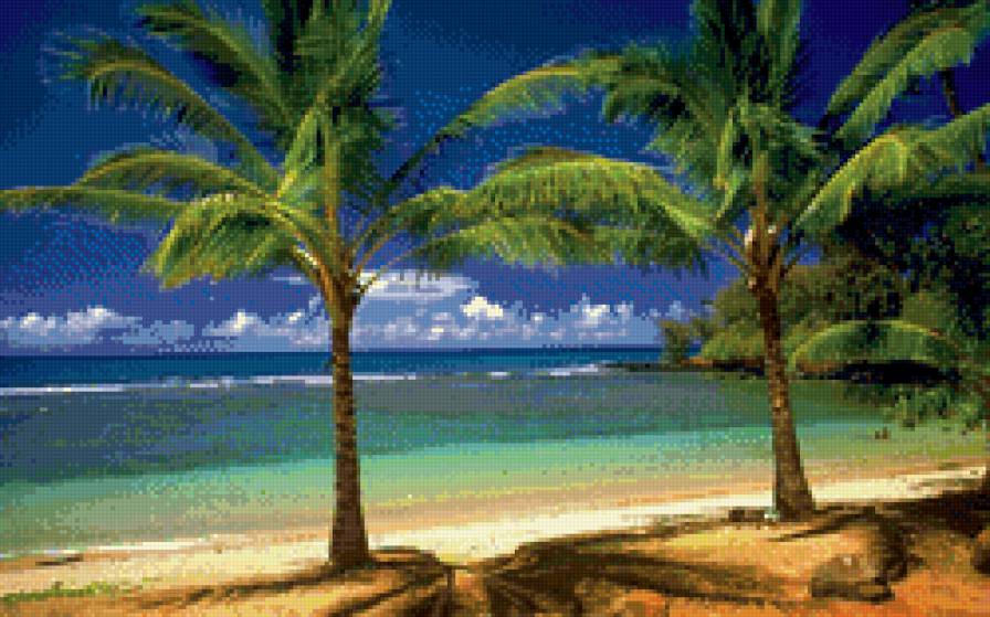 Пальмы - пальмы, пляж, отпуск, лето - предпросмотр