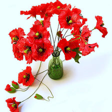 Схема вышивки «ЦВЕТЫ»