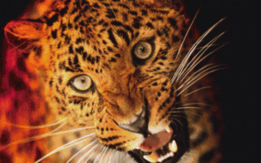 рык - животные, кошки - предпросмотр