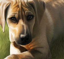 Схема вышивки «щенок»