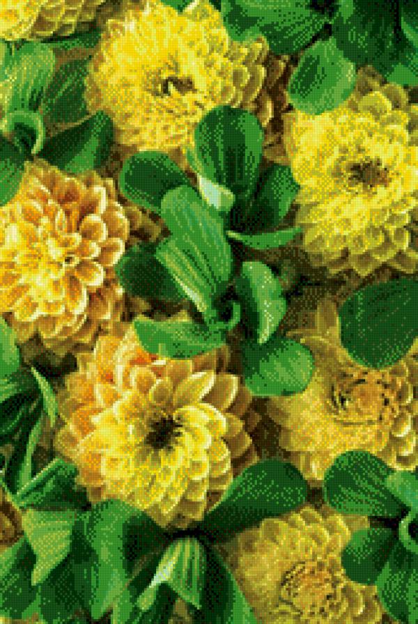 Желтые георгины. Эффект 3d. - цветы, георгины, объем, желтый - предпросмотр