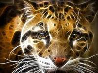 Схема вышивки «леопард»