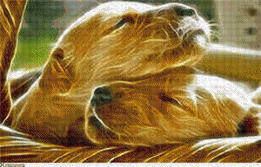 щенки - животные, собаки - предпросмотр