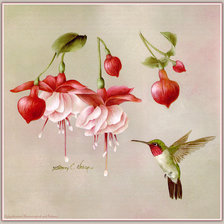 Схема вышивки «№664227»