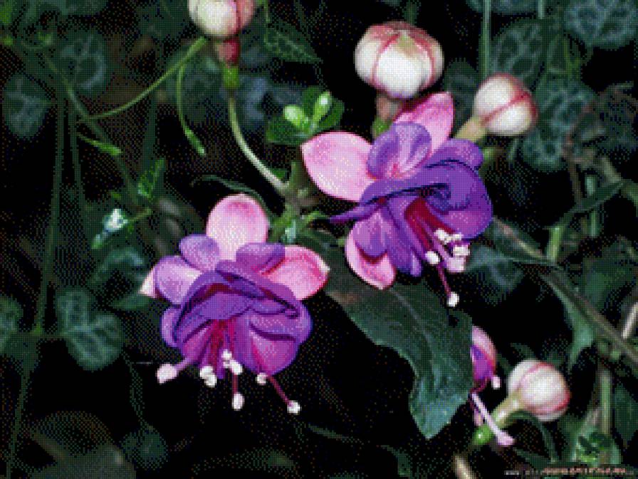 №664231 - предпросмотр