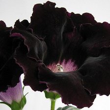 Схема вышивки «цветок»