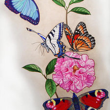 Схема вышивки «Бабочки»