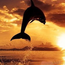 Схема вышивки «№664404»