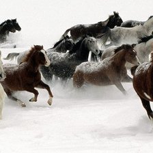 Схема вышивки «№664406»