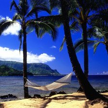 Схема вышивки «Пальмы»