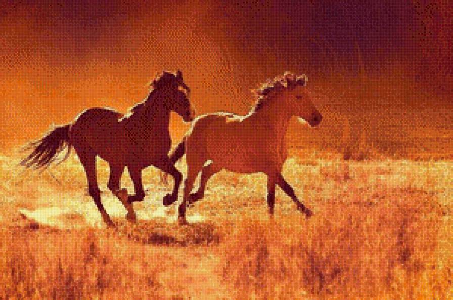 Лошади - животные, лошади - предпросмотр