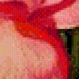 Предпросмотр схемы вышивки «розы» (№664717)