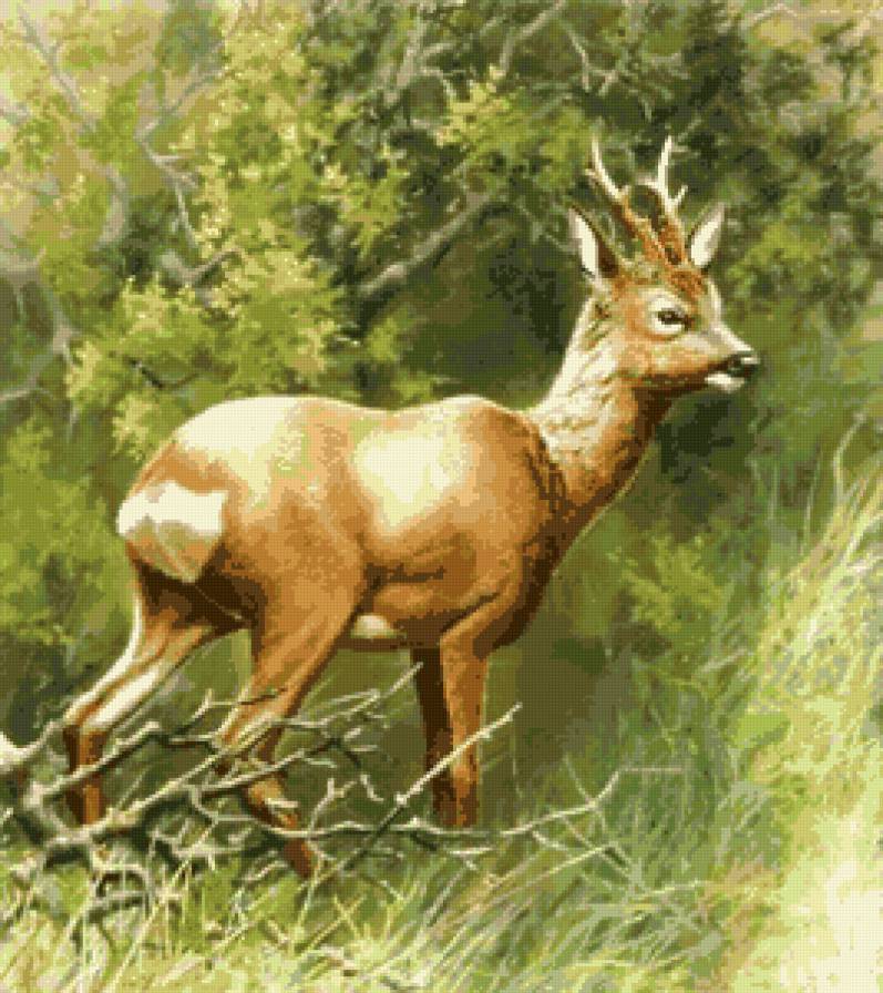 №664759 - природа, пейзаж, животные - предпросмотр