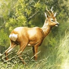 Схема вышивки «№664759»