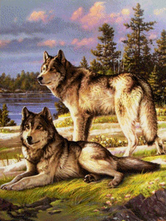 №664764 - предпросмотр