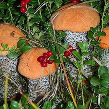 Схема вышивки «Грибочки»