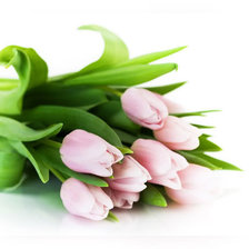 Схема вышивки «Тюльпаны»