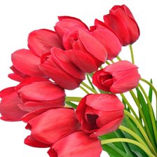 Схема вышивки «Тюльпаны»